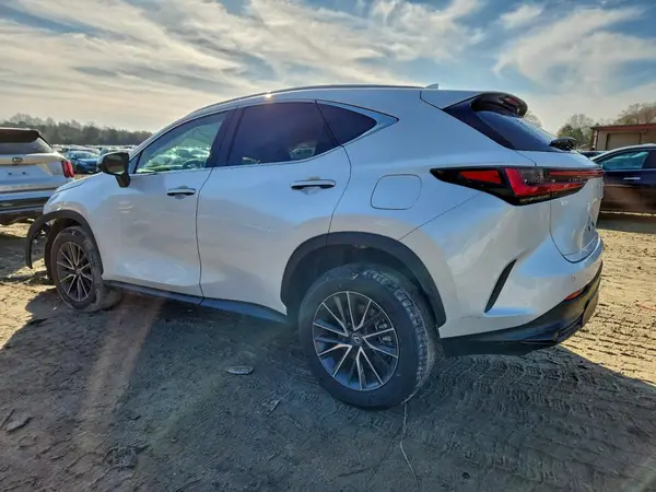 2T2GGCEZ1RC049239 2024 LEXUS NX - Image 2