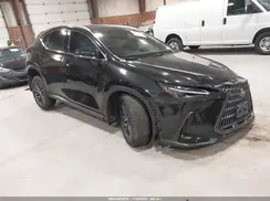 2T2GGCEZ1RC051752 2024 LEXUS NX