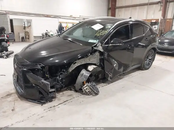 2T2GGCEZ1RC051752 2024 LEXUS NX - Image 2