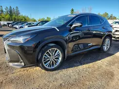 2T2GGCEZ1SC063860 2025 LEXUS NX