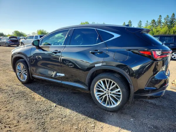 2T2GGCEZ1SC063860 2025 LEXUS NX - Image 2