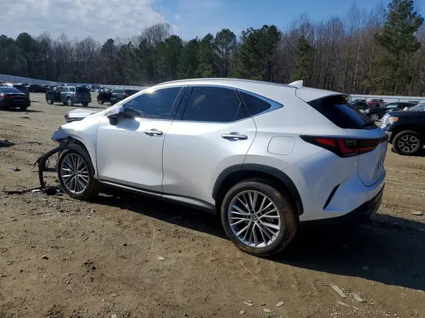 2T2GGCEZ1SC065320 2025 LEXUS NX - Image 2
