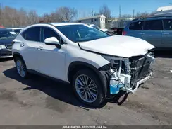 2T2GGCEZ1SC067262 2025 LEXUS NX
