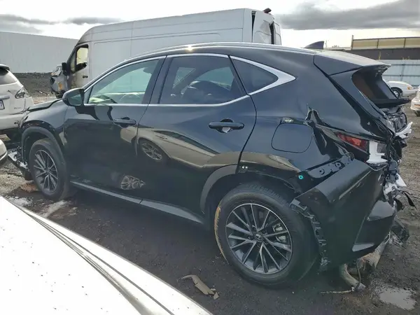 2T2GGCEZ1SC080688 2025 LEXUS NX - Image 2