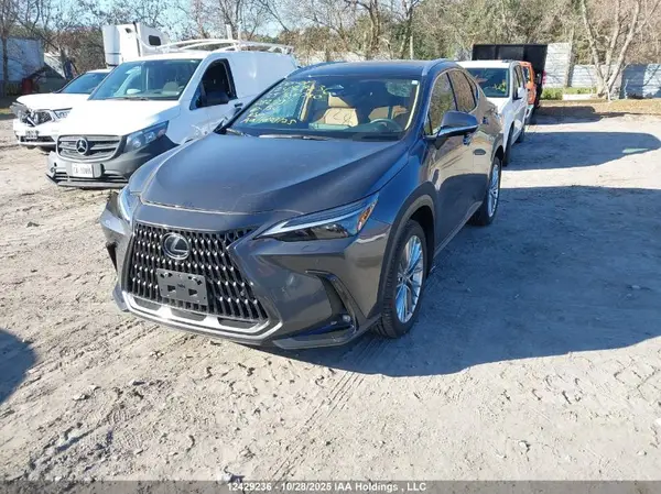 2T2GGCEZ1SC082781 2025 LEXUS NX - Image 2