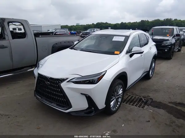 2T2GGCEZ1SC088807 2025 LEXUS NX - Image 2