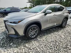 2T2GGCEZ2PC018529 2023 LEXUS NX
