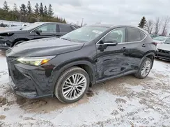 2T2GGCEZ2PC018546 2023 LEXUS NX
