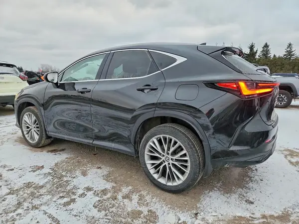 2T2GGCEZ2PC018546 2023 LEXUS NX - Image 2