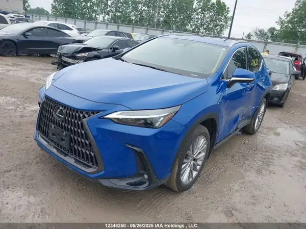 2T2GGCEZ2PC028414 2023 LEXUS NX - Image 2