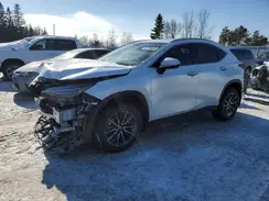 2T2GGCEZ2RC035611 2024 LEXUS NX