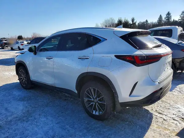 2T2GGCEZ2RC035611 2024 LEXUS NX - Image 2