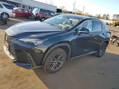 2T2GGCEZ2RC037875 2024 LEXUS NX