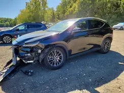 2T2GGCEZ2RC041781 2024 LEXUS NX