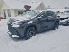 2T2GGCEZ2RC053655 2024 LEXUS NX