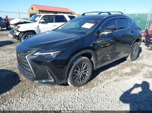 2T2GGCEZ2RC059116 2024 LEXUS NX - Image 2