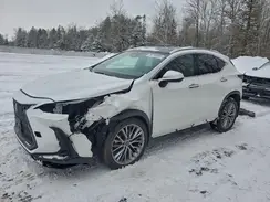 2T2GGCEZ2SC072454 2025 LEXUS NX