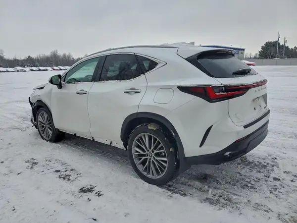2T2GGCEZ2SC072454 2025 LEXUS NX - Image 2