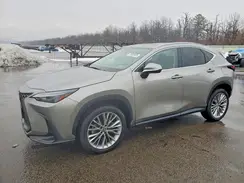 2T2GGCEZ2SC081249 2025 LEXUS NX