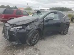 2T2GGCEZ3PC031175 2023 LEXUS NX