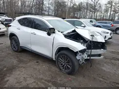 2T2GGCEZ3RC039506 2024 LEXUS NX