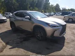 2T2GGCEZ3RC040087 2024 LEXUS NX