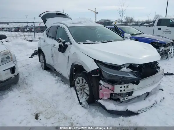 2T2GGCEZ3RC046665 2024 LEXUS NX - Image 1