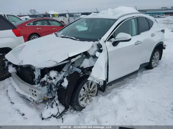 2T2GGCEZ3RC046665 2024 LEXUS NX - Image 2