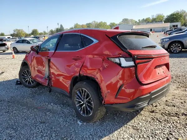 2T2GGCEZ3RC048450 2024 LEXUS NX - Image 2