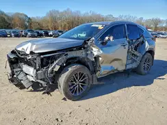 2T2GGCEZ3RC054068 2024 LEXUS NX