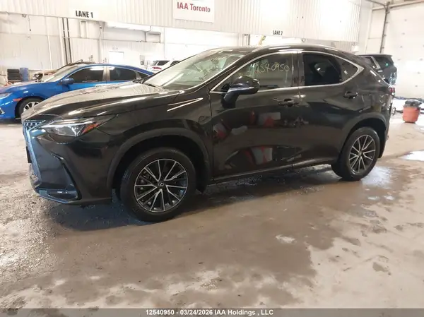 2T2GGCEZ3RC059786 2024 LEXUS NX - Image 2