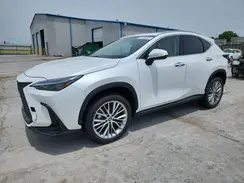 2T2GGCEZ3SC075881 2025 LEXUS NX