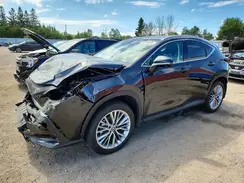 2T2GGCEZ3SC085245 2025 LEXUS NX