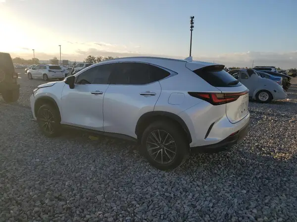 2T2GGCEZ4NC004600 2022 LEXUS NX - Image 2