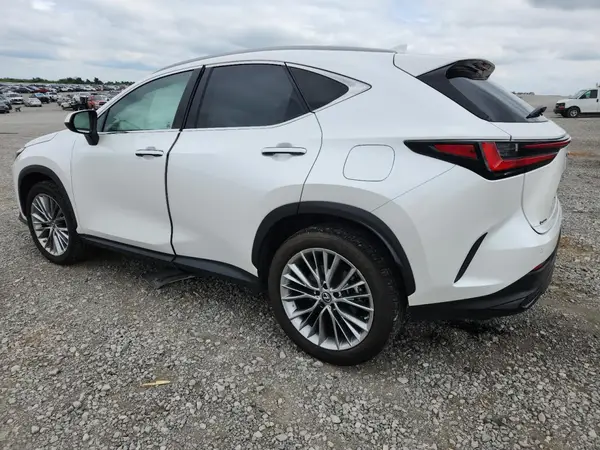2T2GGCEZ4NC004662 2022 LEXUS NX - Image 2