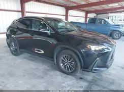 2T2GGCEZ4PC020654 2023 LEXUS NX