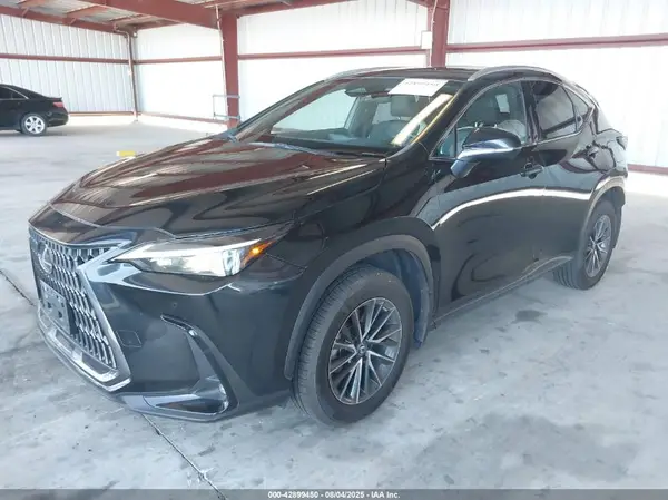 2T2GGCEZ4PC020654 2023 LEXUS NX - Image 2