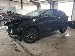 2T2GGCEZ4PC031492 2023 LEXUS NX