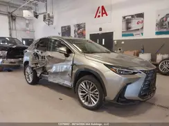 2T2GGCEZ4RC042494 2024 LEXUS NX