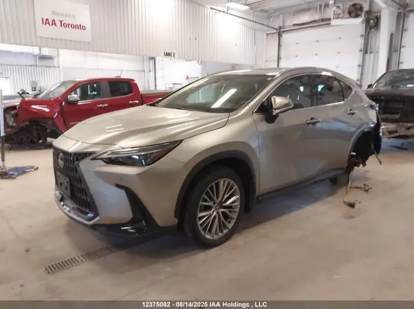 2T2GGCEZ4RC042494 2024 LEXUS NX - Image 2