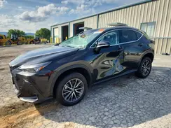 2T2GGCEZ4RC043239 2024 LEXUS NX