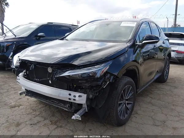 2T2GGCEZ4RC04379 2024 LEXUS NX - Image 2