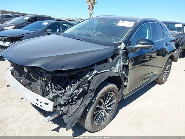 2T2GGCEZ4RC043791 2024 LEXUS NX - Image 2