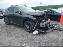 2T2GGCEZ4RC044584 2024 LEXUS NX