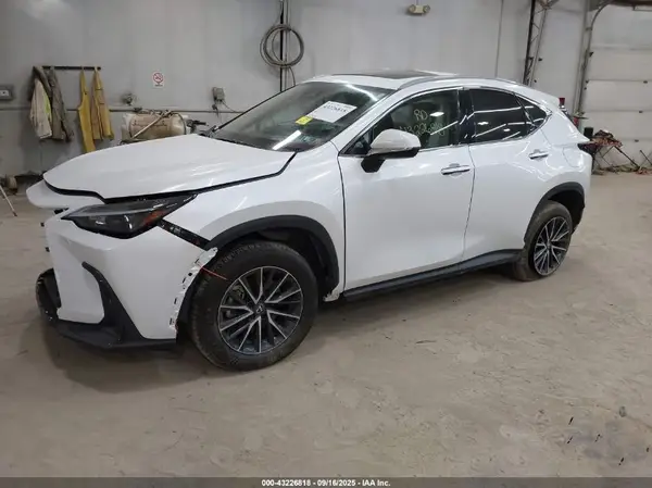 2T2GGCEZ4RC045931 2024 LEXUS NX - Image 2