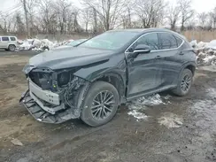 2T2GGCEZ4RC048117 2024 LEXUS NX