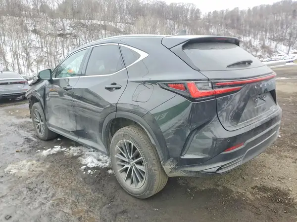 2T2GGCEZ4RC048117 2024 LEXUS NX - Image 2