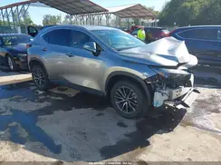 2T2GGCEZ4RC056640 2024 LEXUS NX