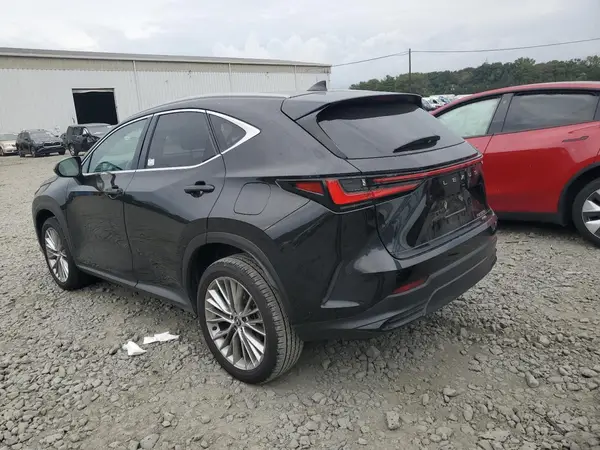2T2GGCEZ4SC065084 2025 LEXUS NX - Image 2