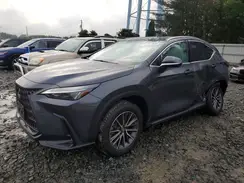 2T2GGCEZ4SC077851 2025 LEXUS NX
